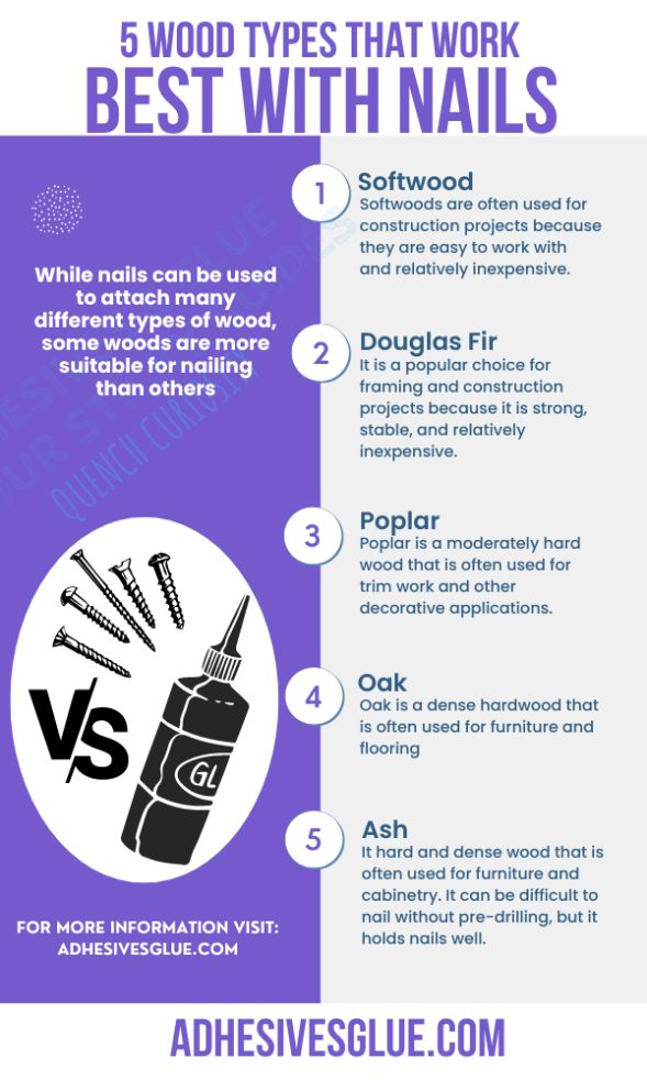 An Infographic Explaining different types of woods that work best with nails and if wood glue is stronger than nails.